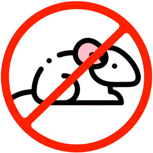 No Rodents